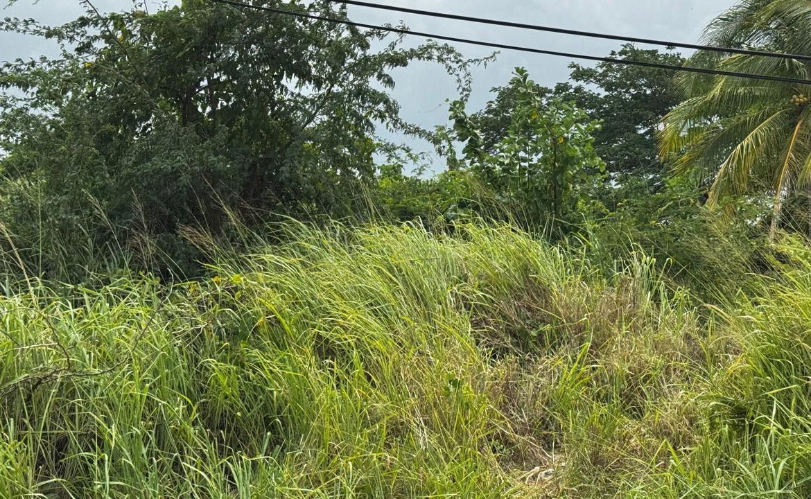 Sixth image of Lot 133-24 Hermington Parkway, Avon in Avon Park, St. Catherine, Jamaica - property is For Sale