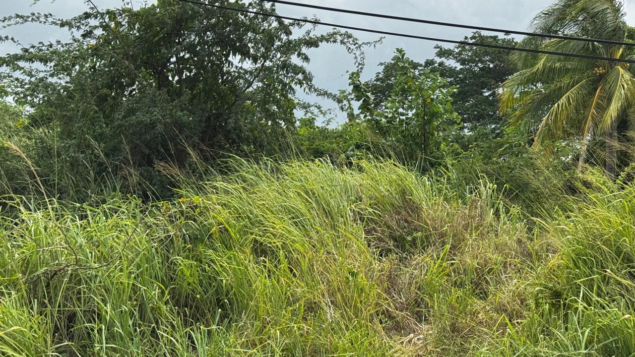 Sixth image of Lot 133-24 Hermington Parkway, Avon in Avon Park, St. Catherine, Jamaica - property is For Sale