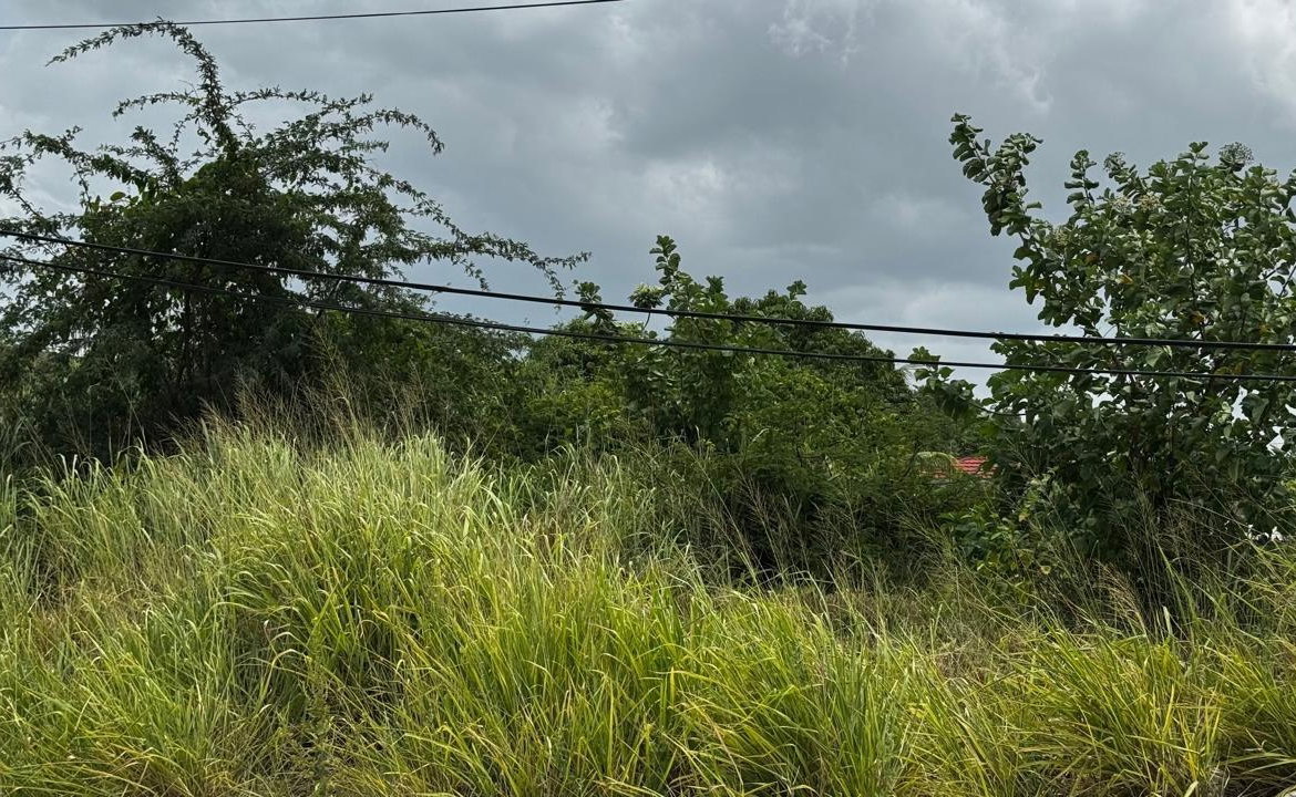 Seventh image of Lot 133-24 Hermington Parkway, Avon in Avon Park, St. Catherine, Jamaica - property is For Sale