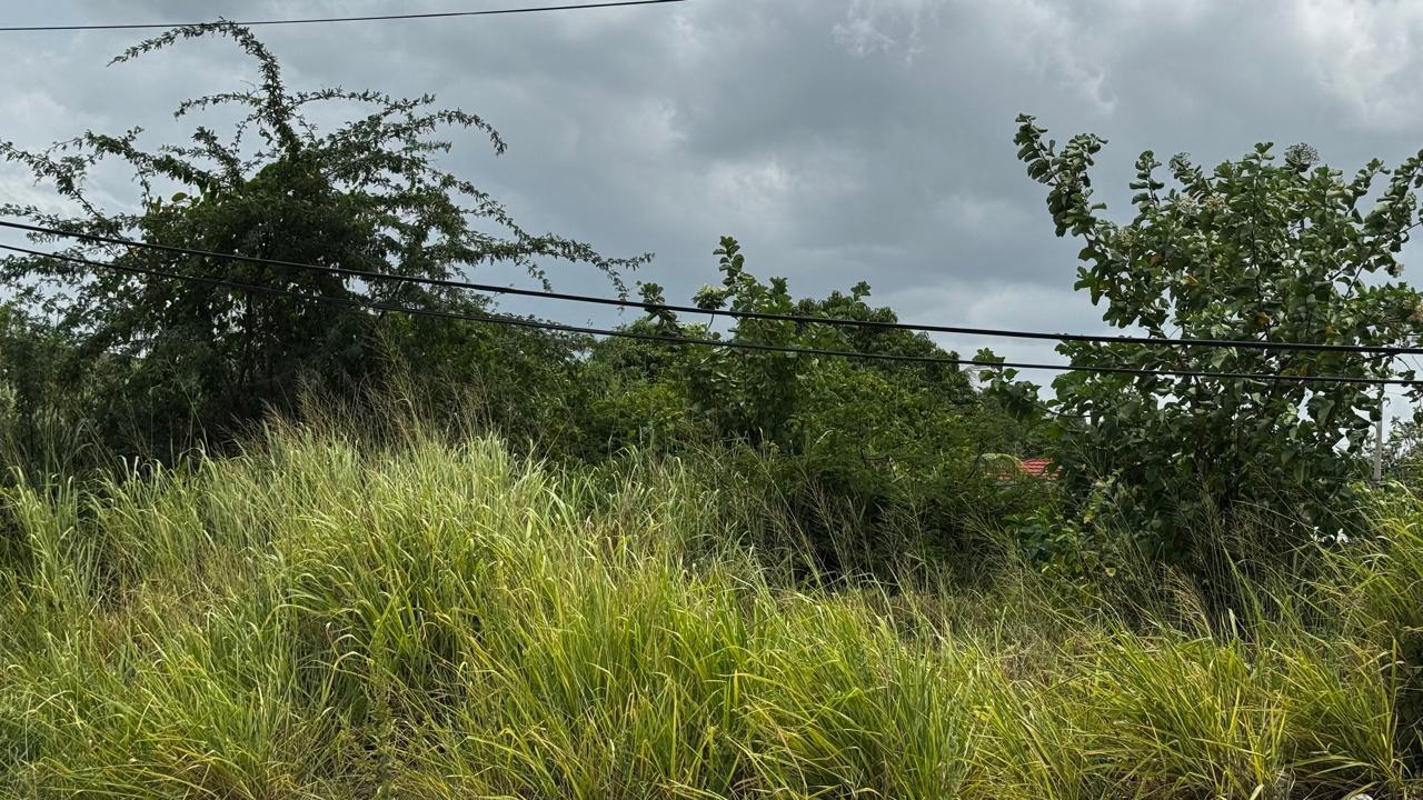 Seventh image of Lot 133-24 Hermington Parkway, Avon in Avon Park, St. Catherine, Jamaica - property is For Sale