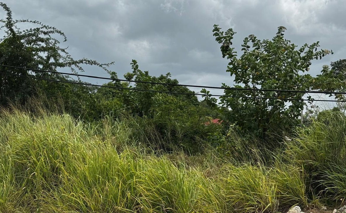 Eighth image of Lot 133-24 Hermington Parkway, Avon in Avon Park, St. Catherine, Jamaica - property is For Sale