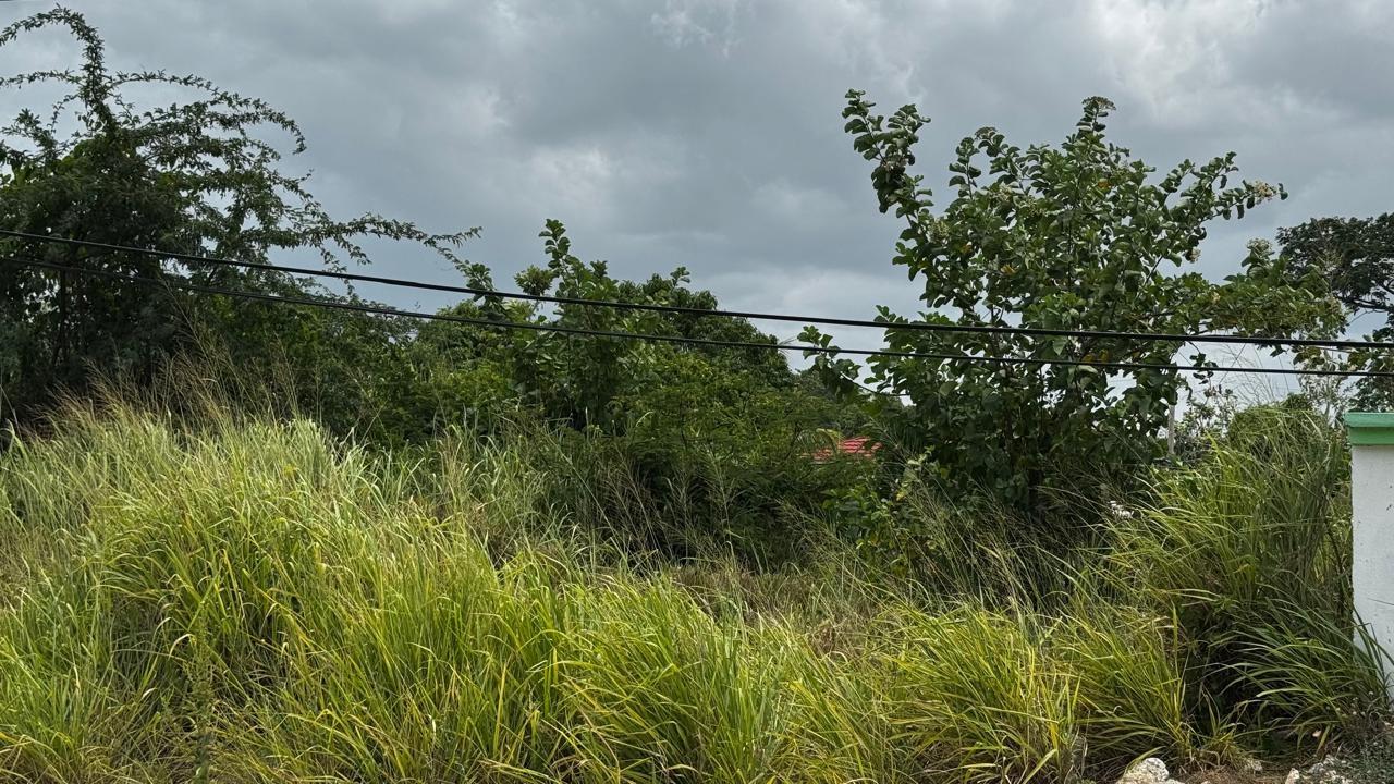 Eighth image of Lot 133-24 Hermington Parkway, Avon in Avon Park, St. Catherine, Jamaica - property is For Sale