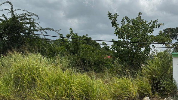 Eighth image of Lot 133-24 Hermington Parkway, Avon in Avon Park, St. Catherine, Jamaica - property is For Sale