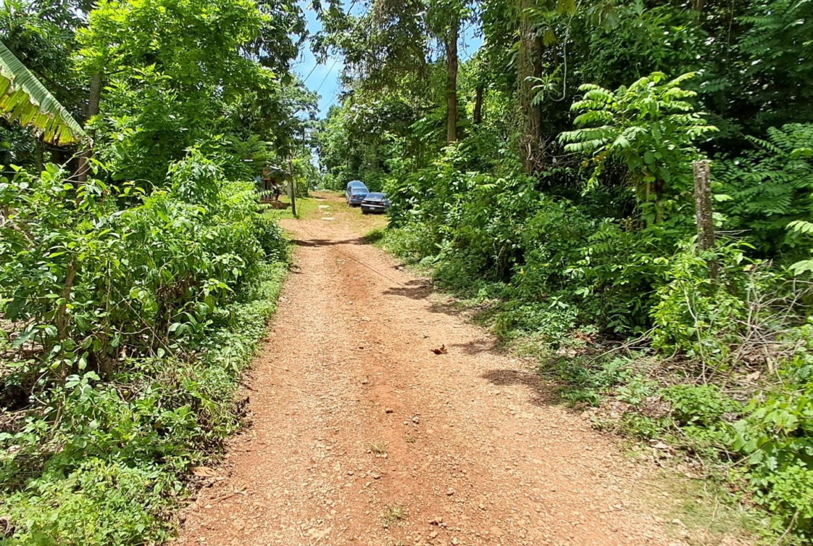 Second image of Belle Castle in Belle Castle, Portland, Jamaica - property is For Sale