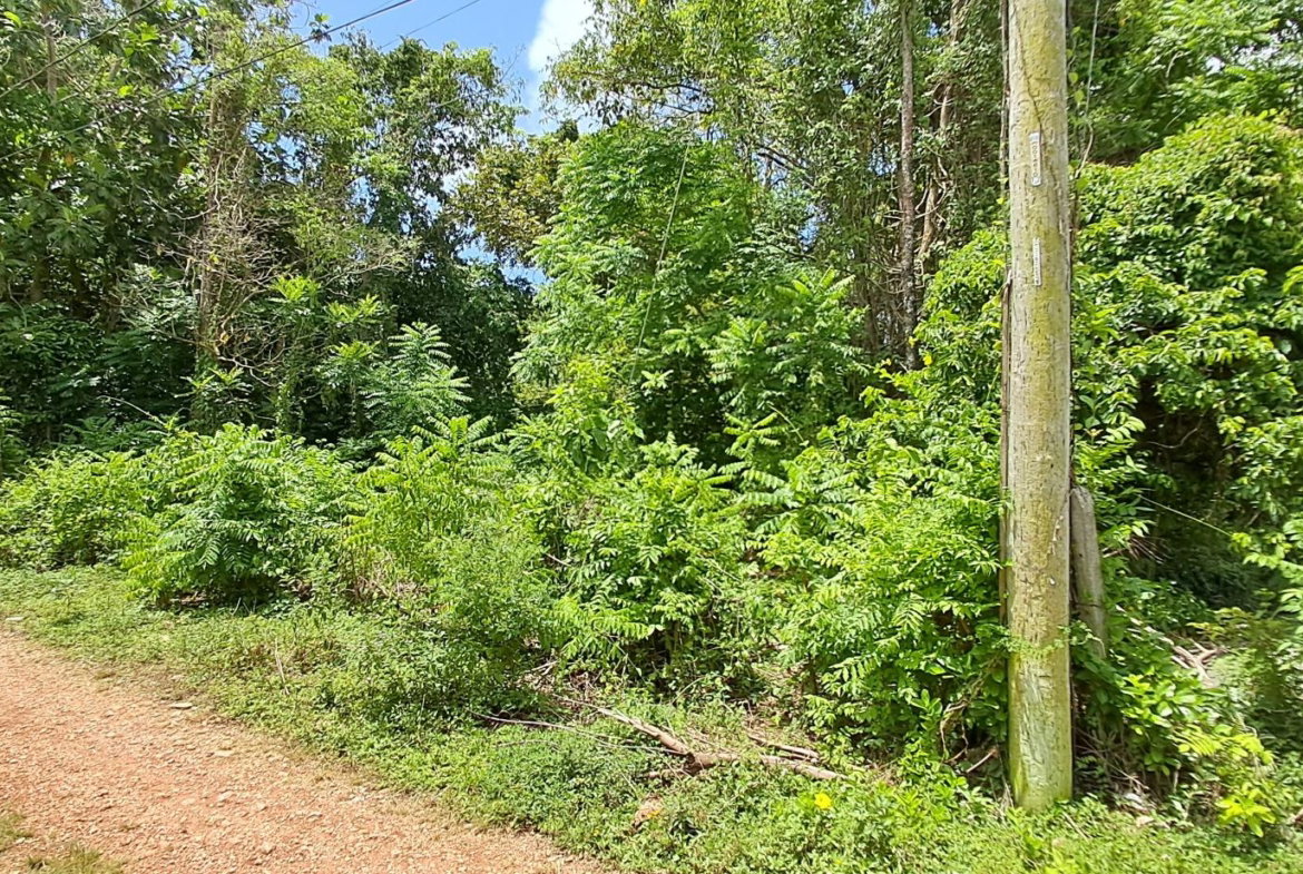 First image of Belle Castle in Belle Castle, Portland, Jamaica - property is For Sale