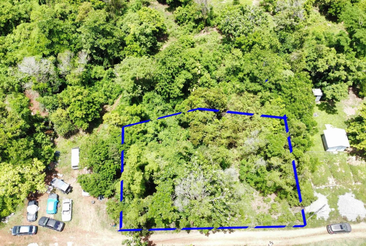 Sixth image of Belle Castle in Belle Castle, Portland, Jamaica - property is For Sale