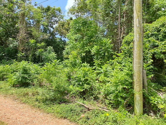 First image of Belle Castle in Belle Castle, Portland, Jamaica - property is For Sale