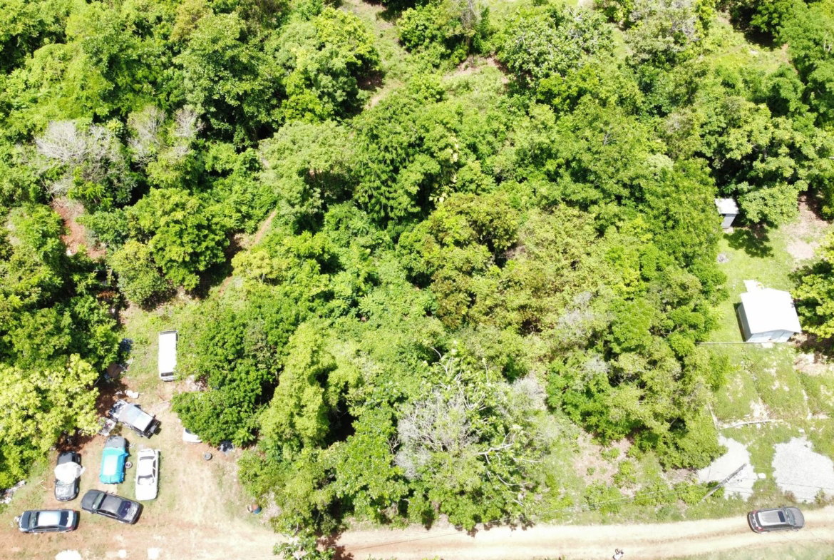 Seventh image of Belle Castle in Belle Castle, Portland, Jamaica - property is For Sale