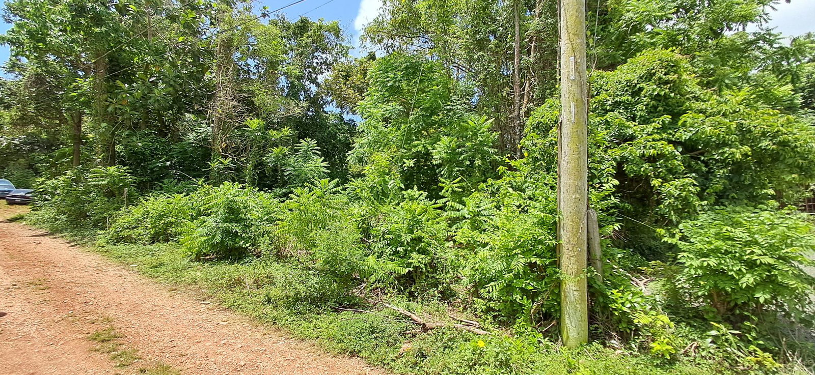 First image of Belle Castle in Belle Castle, Portland, Jamaica - property is For Sale