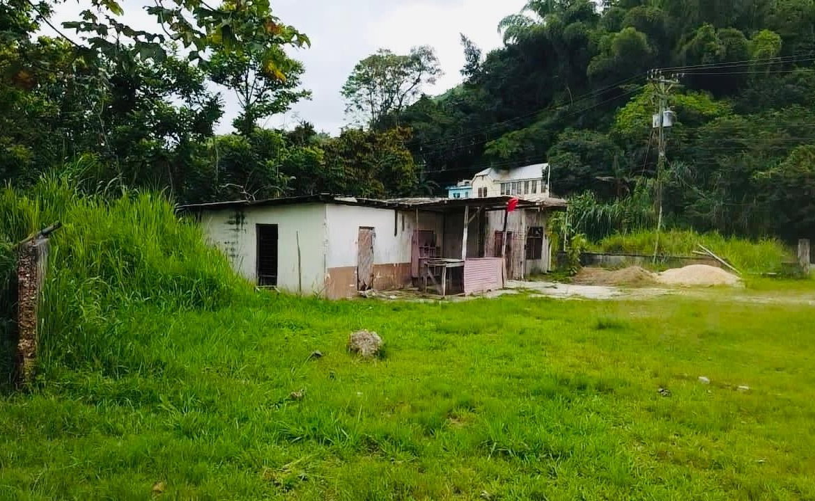 Twelfth image of Borobridge in Borobridge, St. Ann, Jamaica - property is For Sale