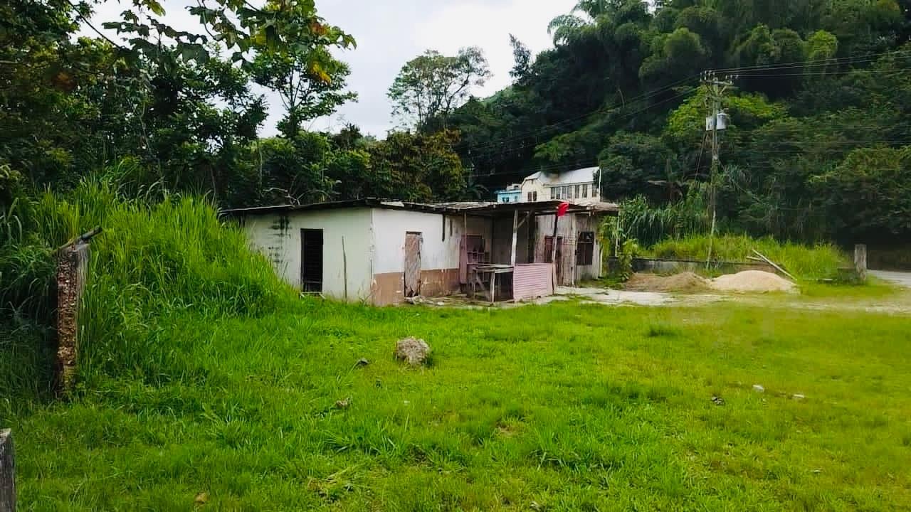 Twelfth image of Borobridge in Borobridge, St. Ann, Jamaica - property is For Sale