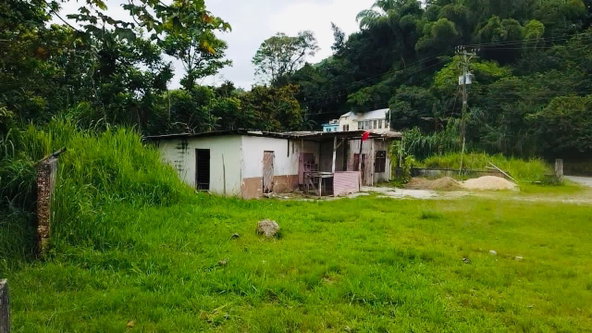 Twelfth image of Borobridge in Borobridge, St. Ann, Jamaica - property is For Sale