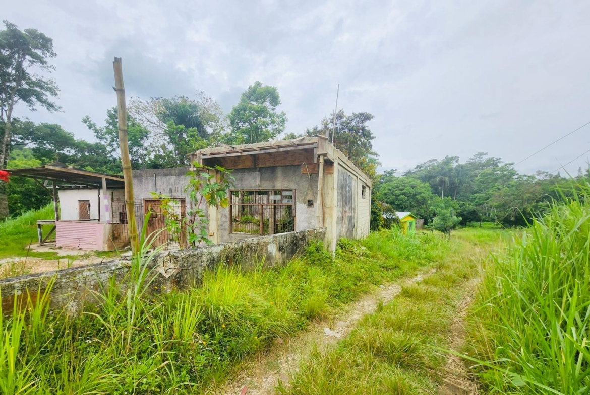 Thirteenth image of Borobridge in Borobridge, St. Ann, Jamaica - property is For Sale