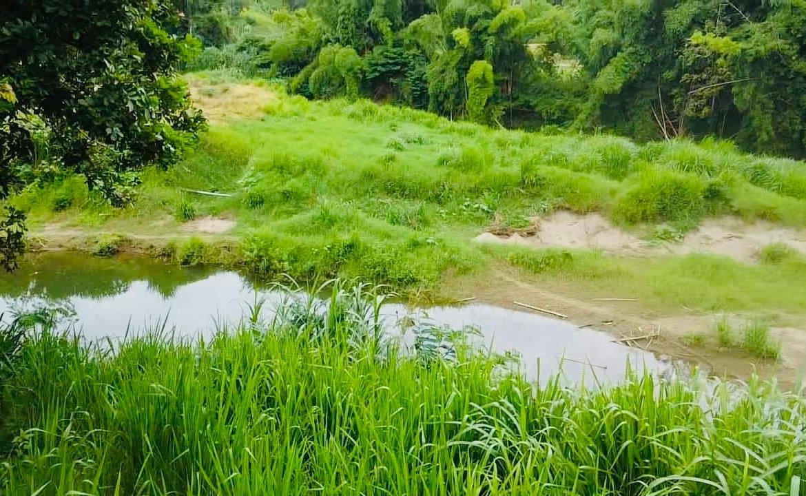 Seventh image of Borobridge in Borobridge, St. Ann, Jamaica - property is For Sale