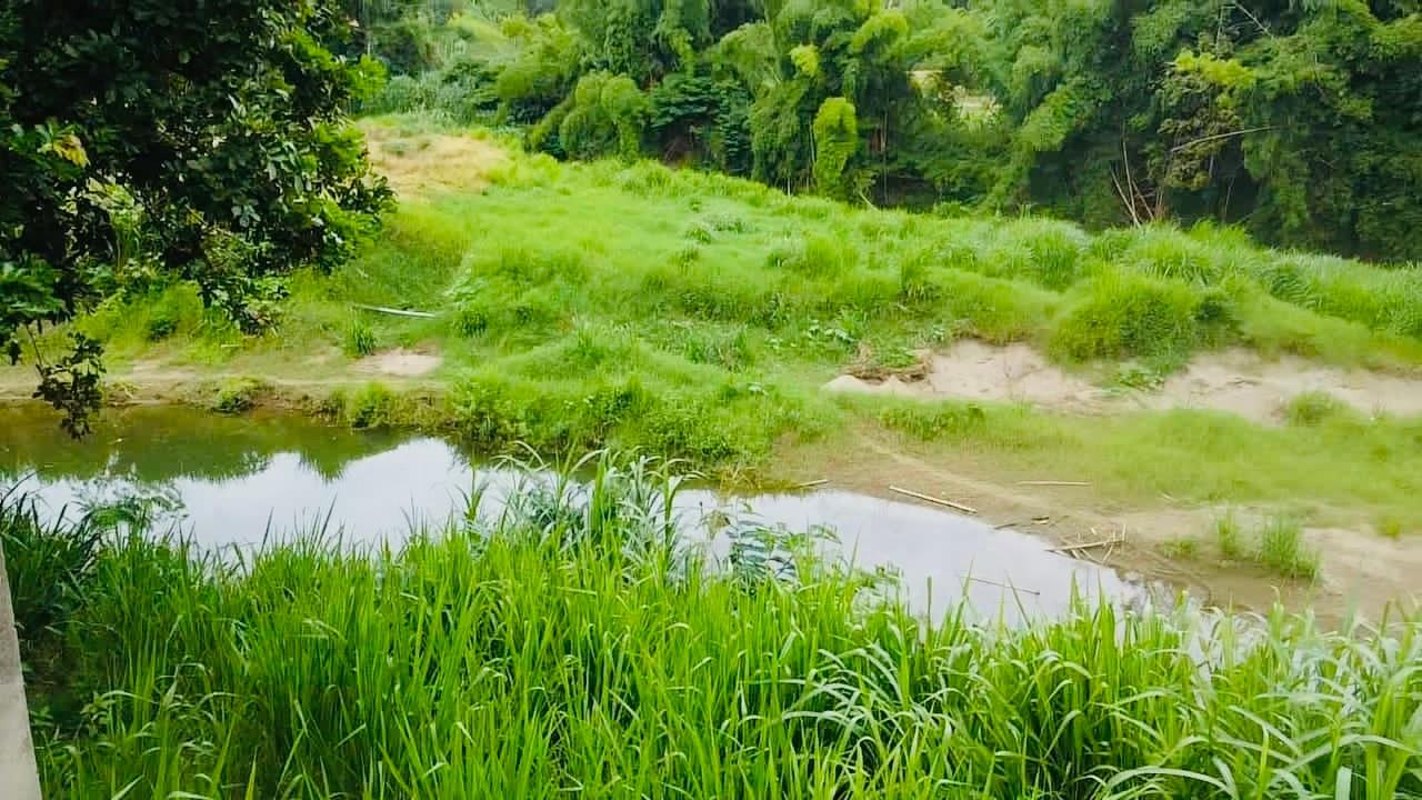 Seventh image of Borobridge in Borobridge, St. Ann, Jamaica - property is For Sale