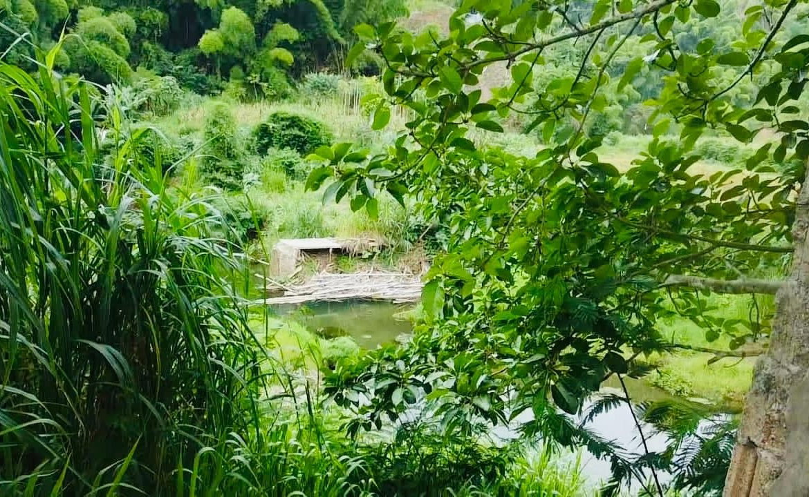 Eighth image of Borobridge in Borobridge, St. Ann, Jamaica - property is For Sale