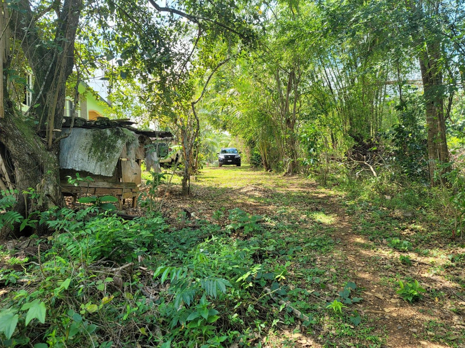 Second image of Buxton Town in Wakefield, St. Catherine, Jamaica - property is For Sale