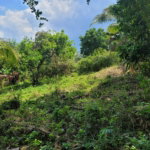 First image of Buxton Town in Wakefield, St. Catherine, Jamaica - property is For Sale