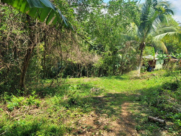 Fifth image of Buxton Town in Wakefield, St. Catherine, Jamaica - property is For Sale