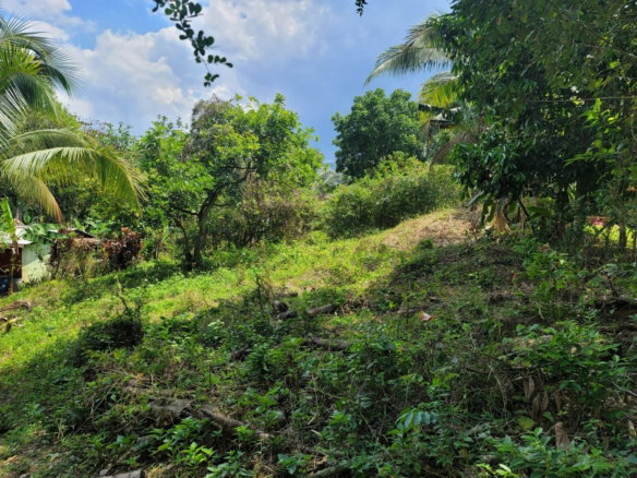 First image of Buxton Town in Wakefield, St. Catherine, Jamaica - property is For Sale
