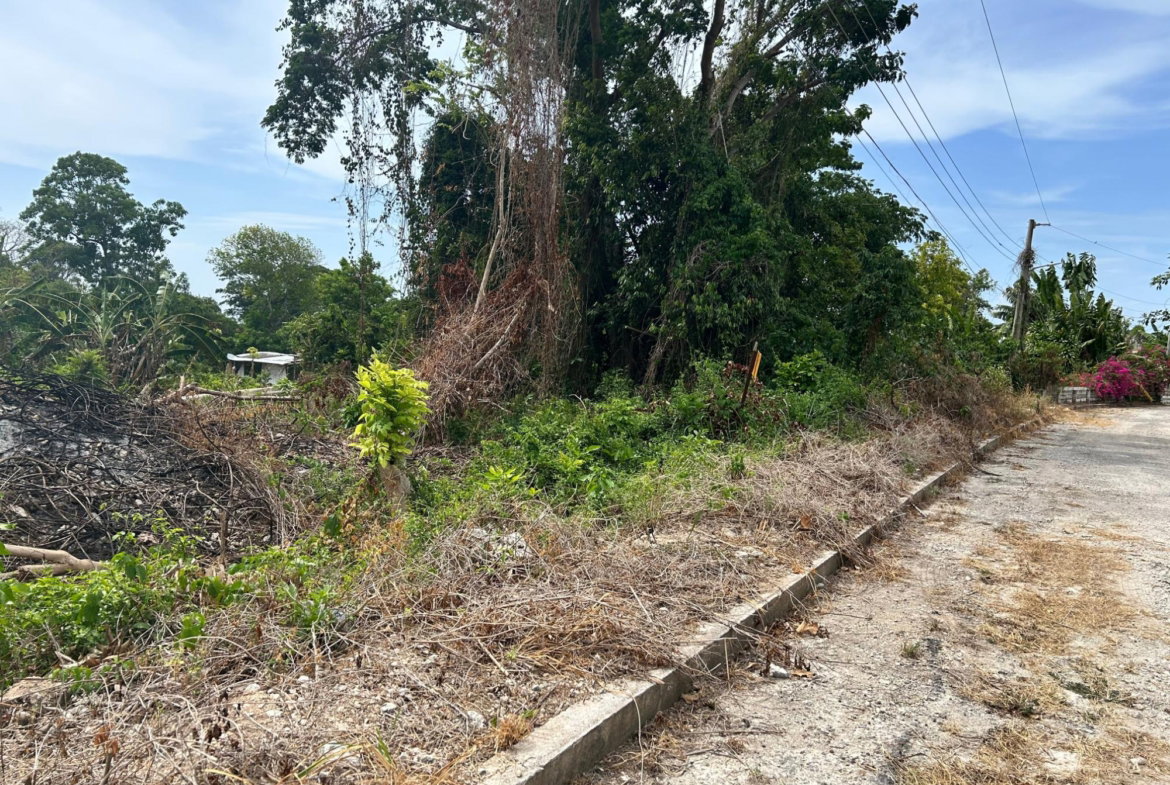 Second image of Lime Grove, Cardiff Hall in St. Ann's Bay, St. Ann, Jamaica - property is For Sale