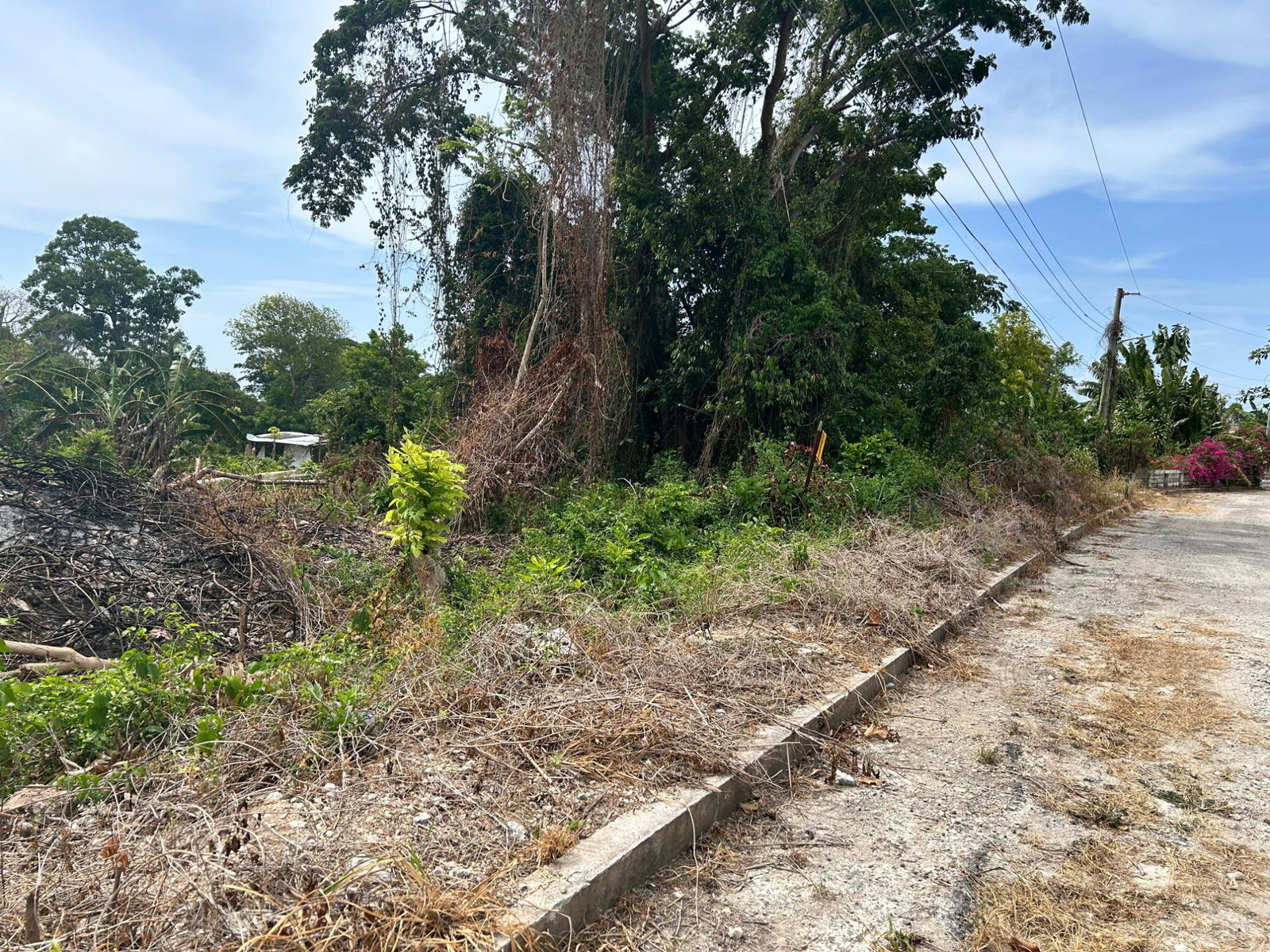 Residential-Lot-for-Sale-in-Cardiff-Hall-St.-Ann-Jamaica-23000-sq-ft Second image of Lime Grove, Cardiff Hall in St. Ann's Bay, St. Ann, Jamaica - property is For Sale