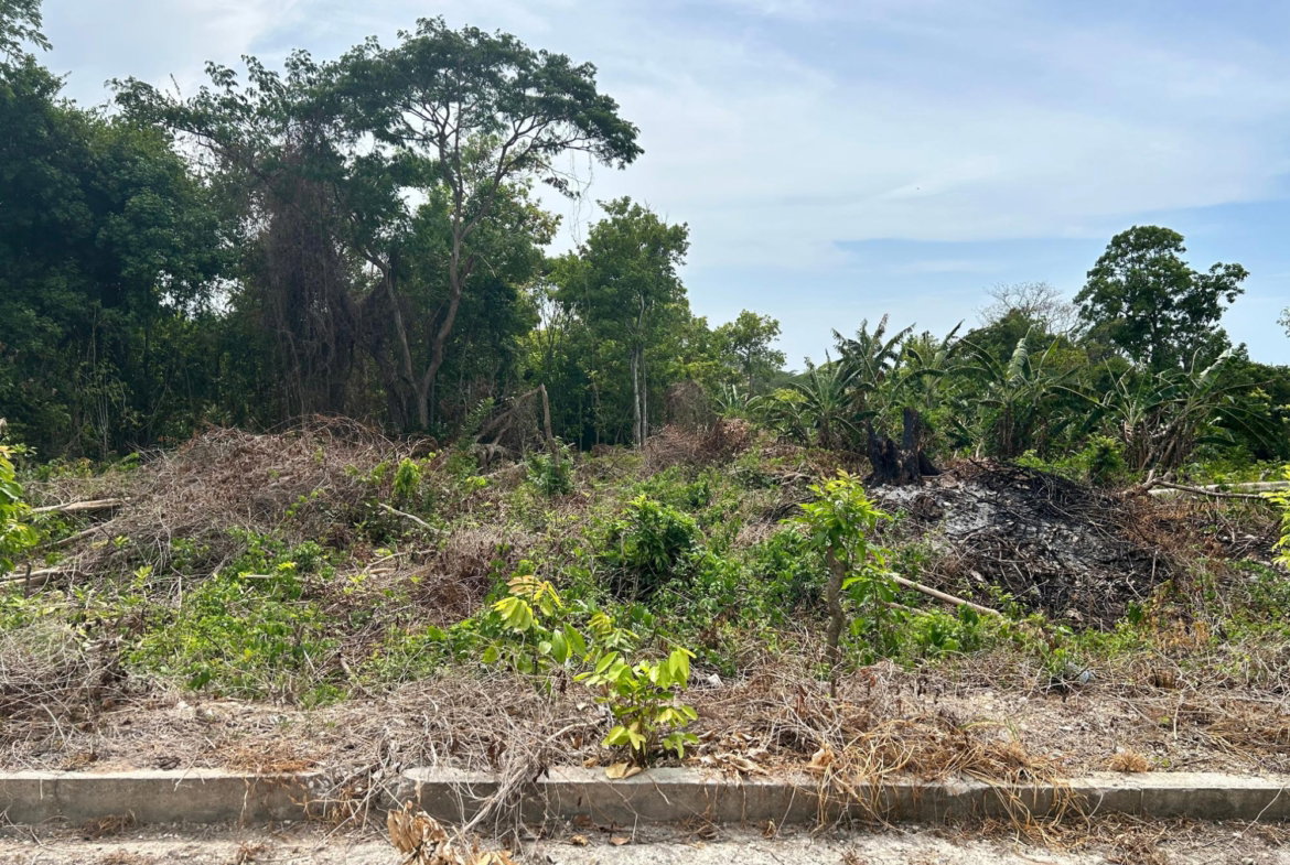 First image of Lime Grove, Cardiff Hall in St. Ann's Bay, St. Ann, Jamaica - property is For Sale
