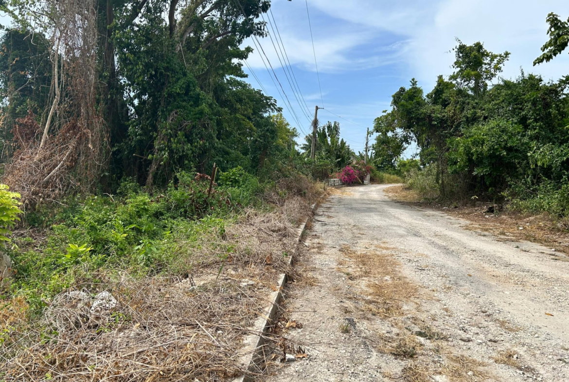 Third image of Lime Grove, Cardiff Hall in St. Ann's Bay, St. Ann, Jamaica - property is For Sale