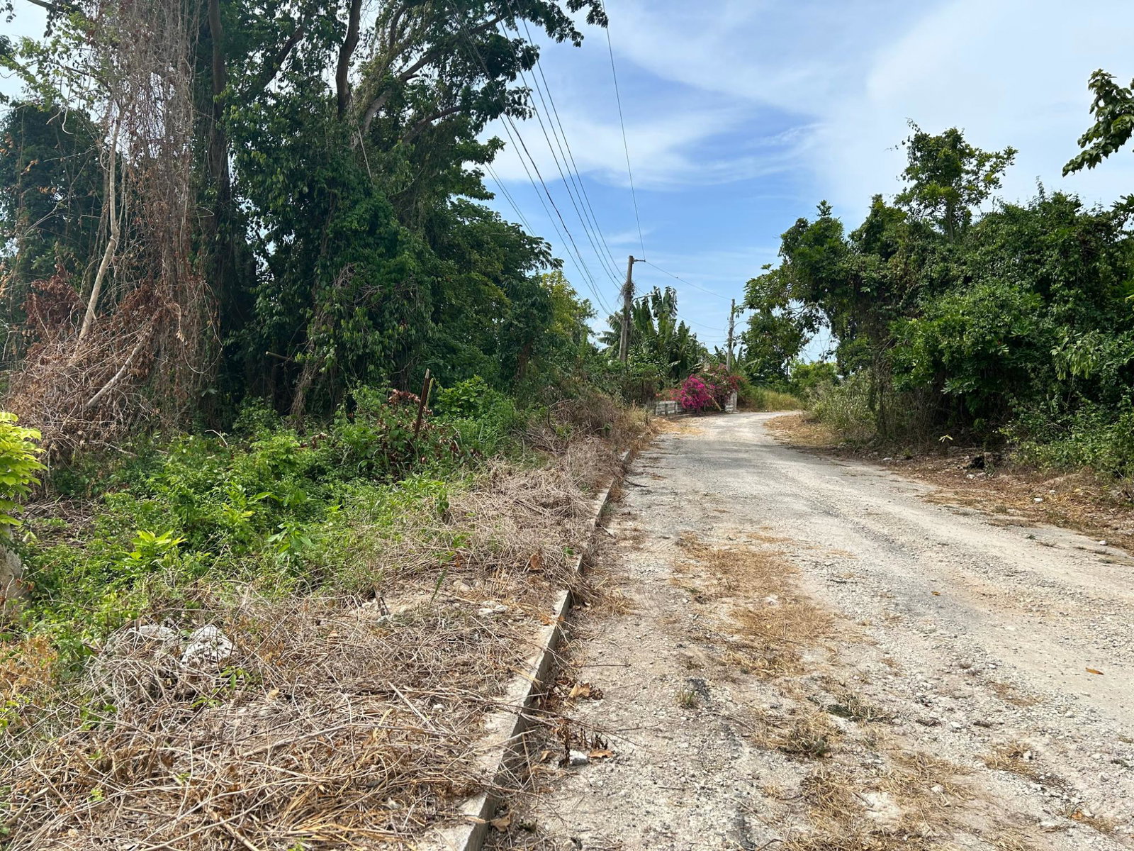 Residential-Lot-for-Sale-in-Cardiff-Hall-St.-Ann-Jamaica-23000-sq-ft Third image of Lime Grove, Cardiff Hall in St. Ann's Bay, St. Ann, Jamaica - property is For Sale