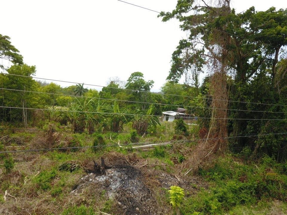 Fifth image of Lime Grove, Cardiff Hall in St. Ann's Bay, St. Ann, Jamaica - property is For Sale