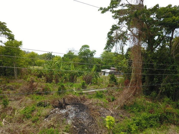 Fifth image of Lime Grove, Cardiff Hall in St. Ann's Bay, St. Ann, Jamaica - property is For Sale