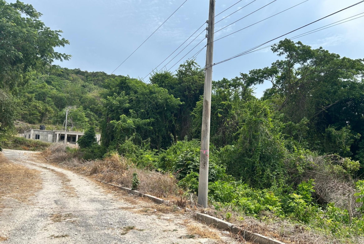 Eighth image of Lime Grove, Cardiff Hall in St. Ann's Bay, St. Ann, Jamaica - property is For Sale