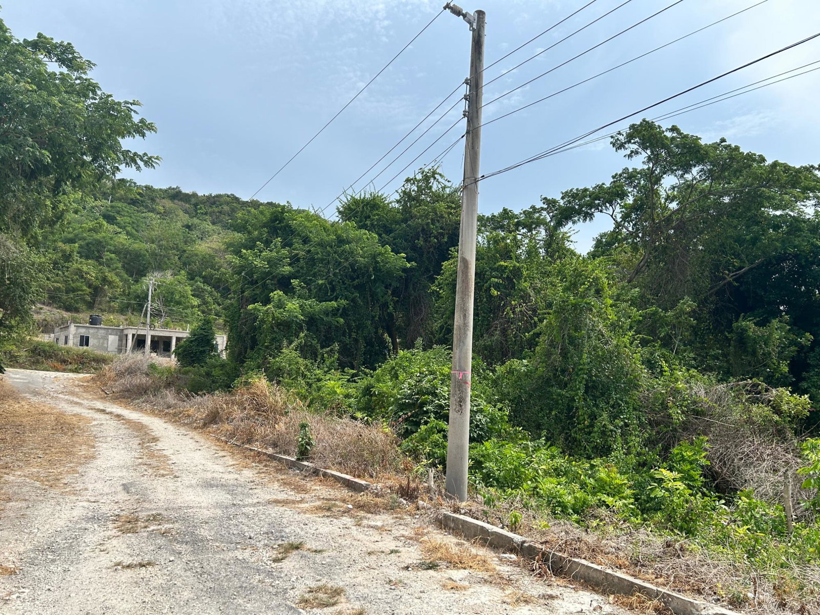 Residential-Lot-for-Sale-in-Cardiff-Hall-St.-Ann-Jamaica-23000-sq-ft Eighth image of Lime Grove, Cardiff Hall in St. Ann's Bay, St. Ann, Jamaica - property is For Sale