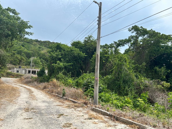 Eighth image of Lime Grove, Cardiff Hall in St. Ann's Bay, St. Ann, Jamaica - property is For Sale