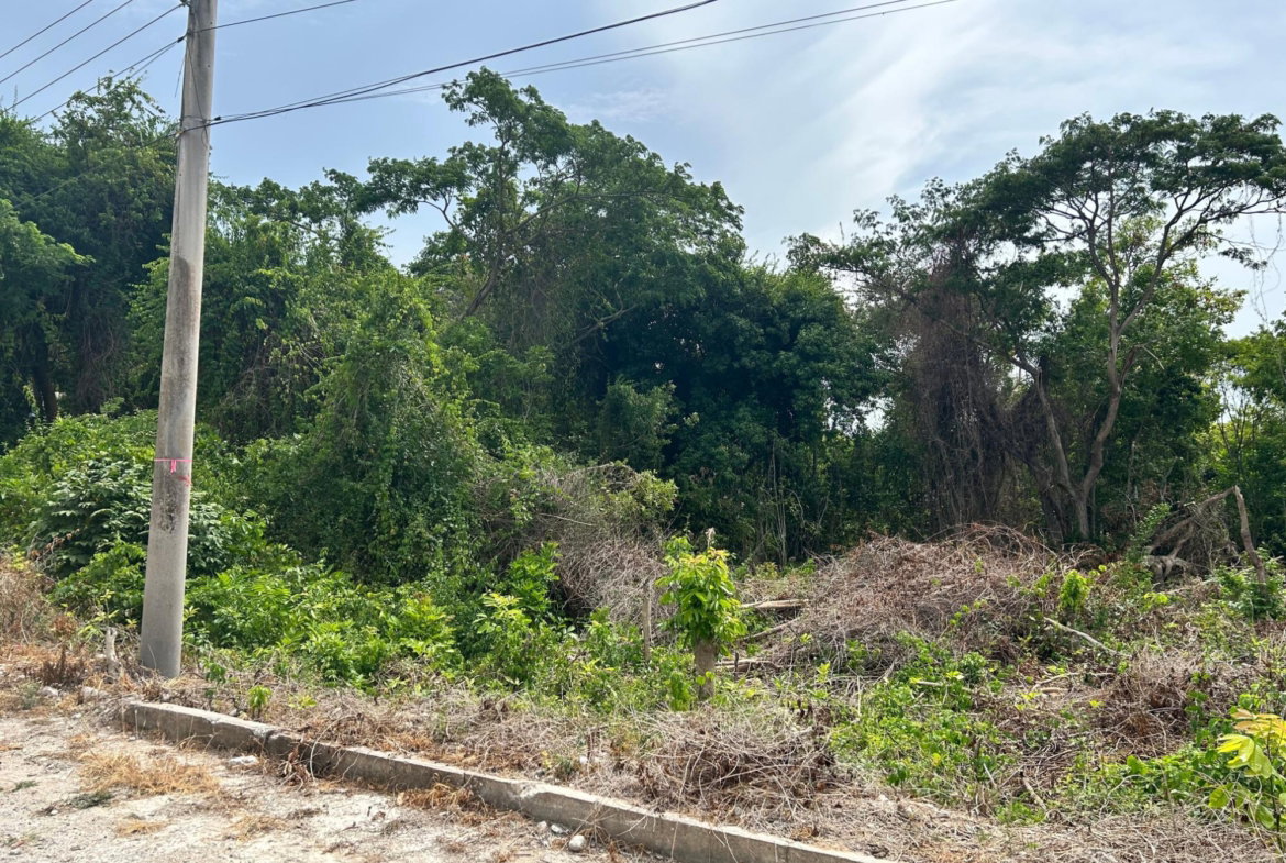 Ninth image of Lime Grove, Cardiff Hall in St. Ann's Bay, St. Ann, Jamaica - property is For Sale