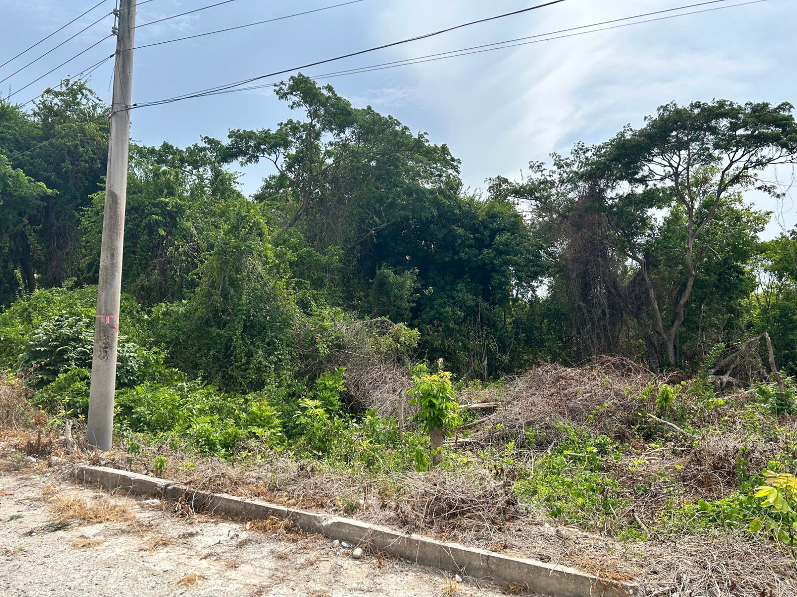 Residential-Lot-for-Sale-in-Cardiff-Hall-St.-Ann-Jamaica-23000-sq-ft Ninth image of Lime Grove, Cardiff Hall in St. Ann's Bay, St. Ann, Jamaica - property is For Sale