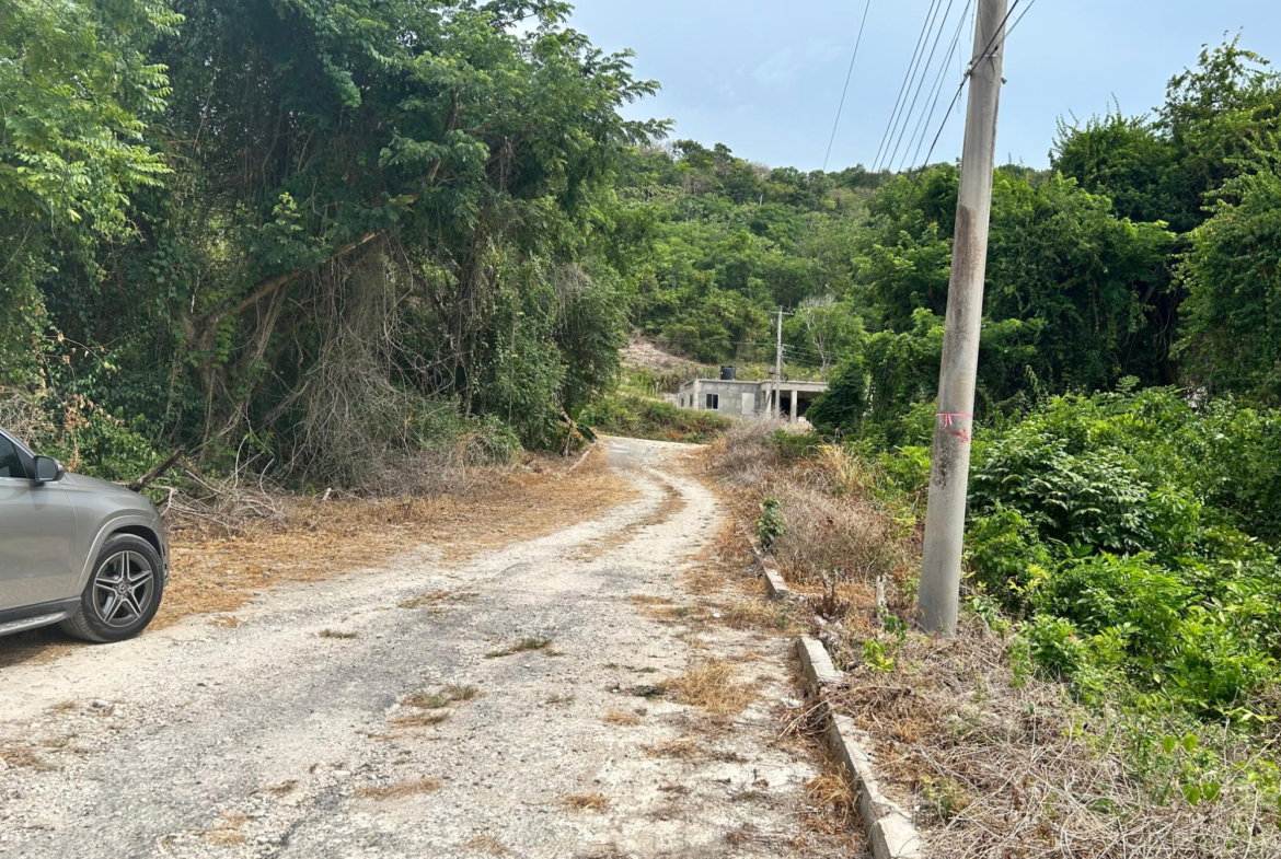 Tenth image of Lime Grove, Cardiff Hall in St. Ann's Bay, St. Ann, Jamaica - property is For Sale
