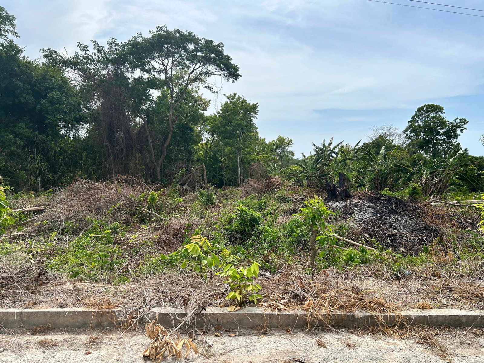 Residential-Lot-for-Sale-in-Cardiff-Hall-St.-Ann-Jamaica-23000-sq-ft First image of Lime Grove, Cardiff Hall in St. Ann's Bay, St. Ann, Jamaica - property is For Sale