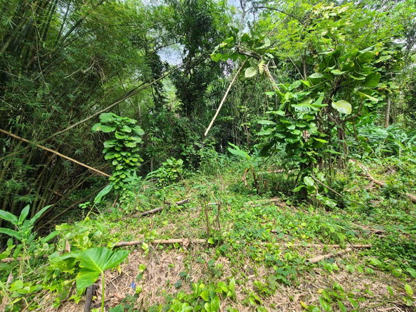 Fourth image of Caveliers in Cavaliers P.A., St. Andrew, Jamaica - property is For Sale
