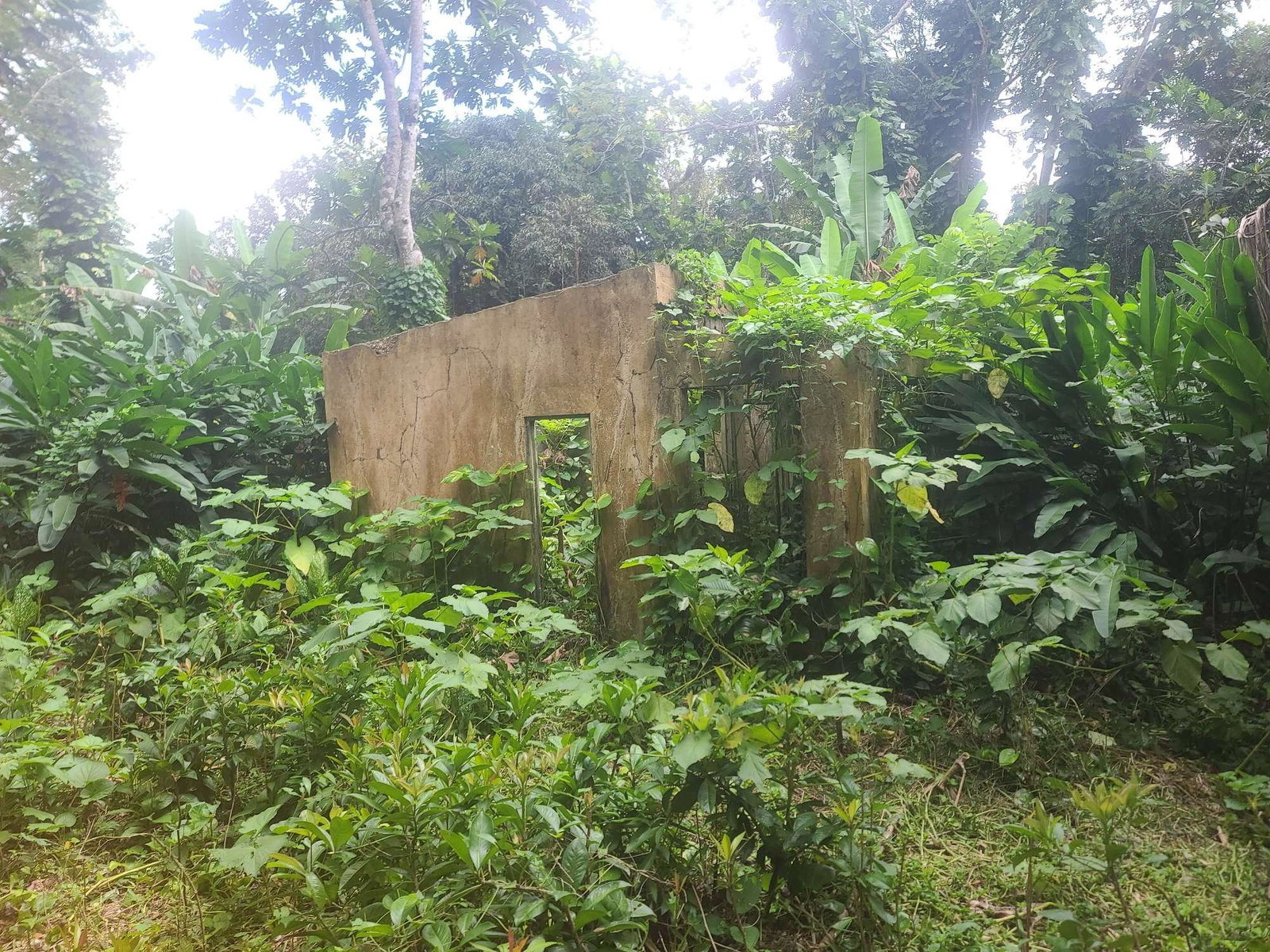 Seventh image of Caveliers in Cavaliers P.A., St. Andrew, Jamaica - property is For Sale
