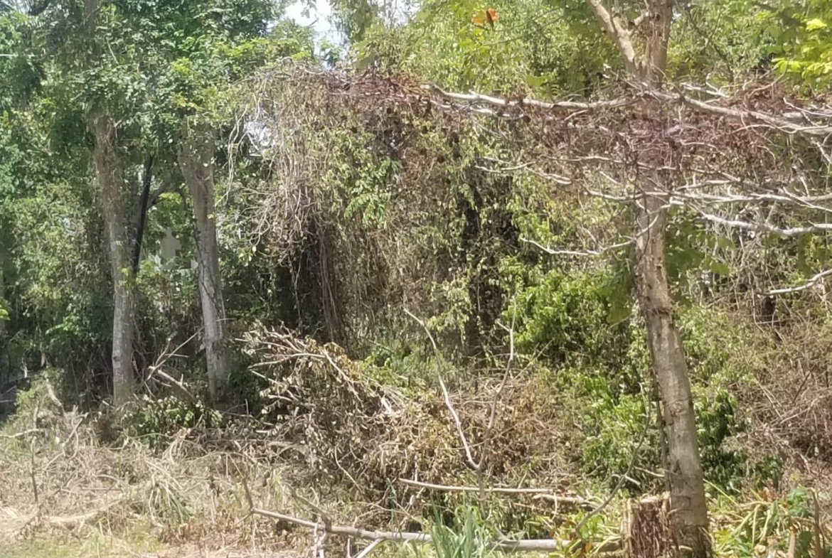 Seventh image of 275 Giradet Terrace, Coral ga in Ironshore, St. James, Jamaica - property is For Sale