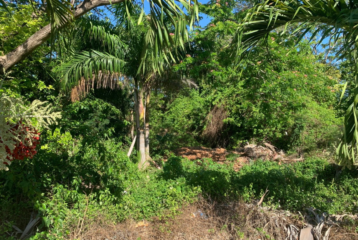 Fourth image of 40 Edinburgh Avenue in Ironshore, St. James, Jamaica - property is For Sale