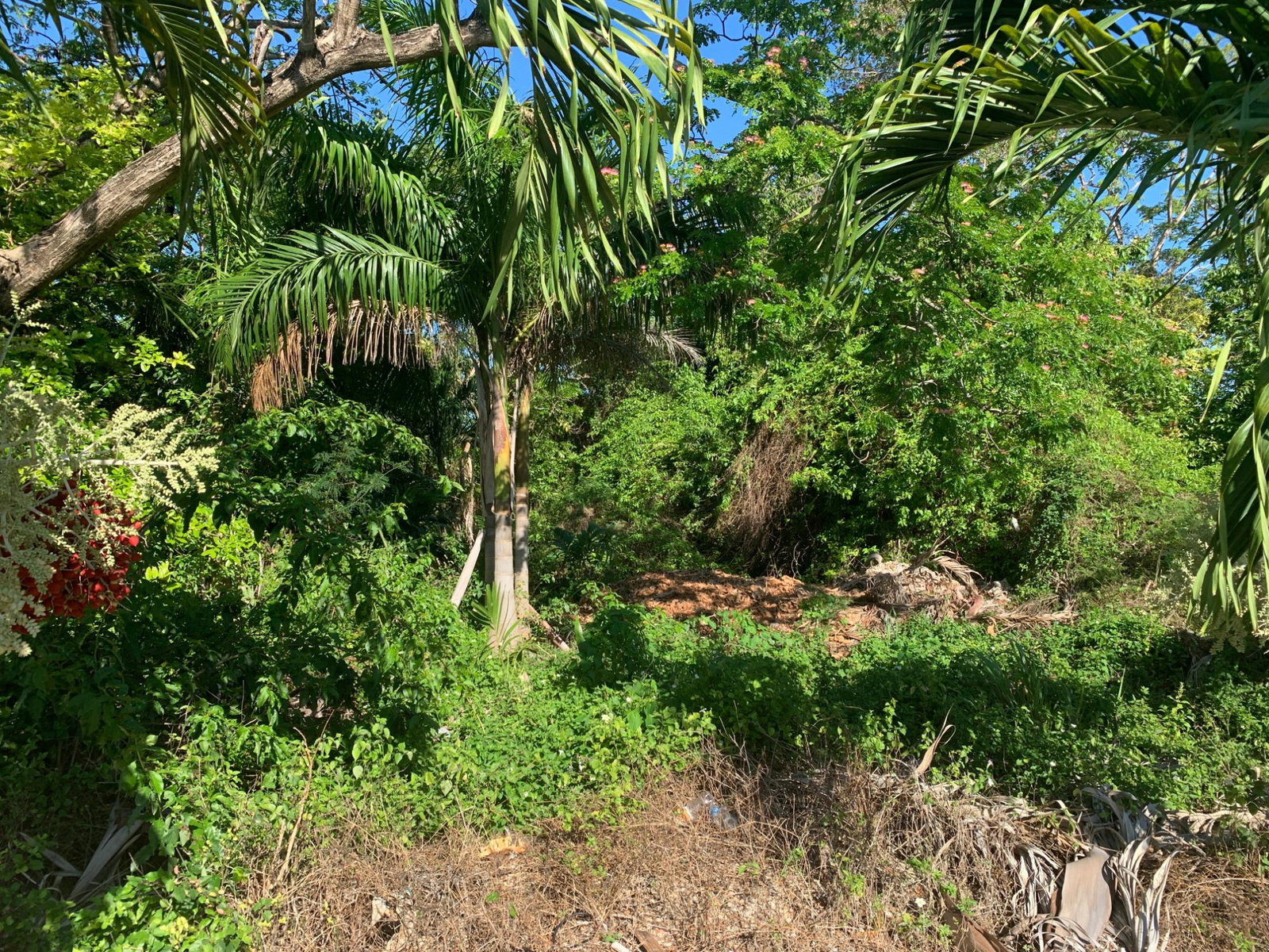 Fourth image of 40 Edinburgh Avenue in Ironshore, St. James, Jamaica - property is For Sale