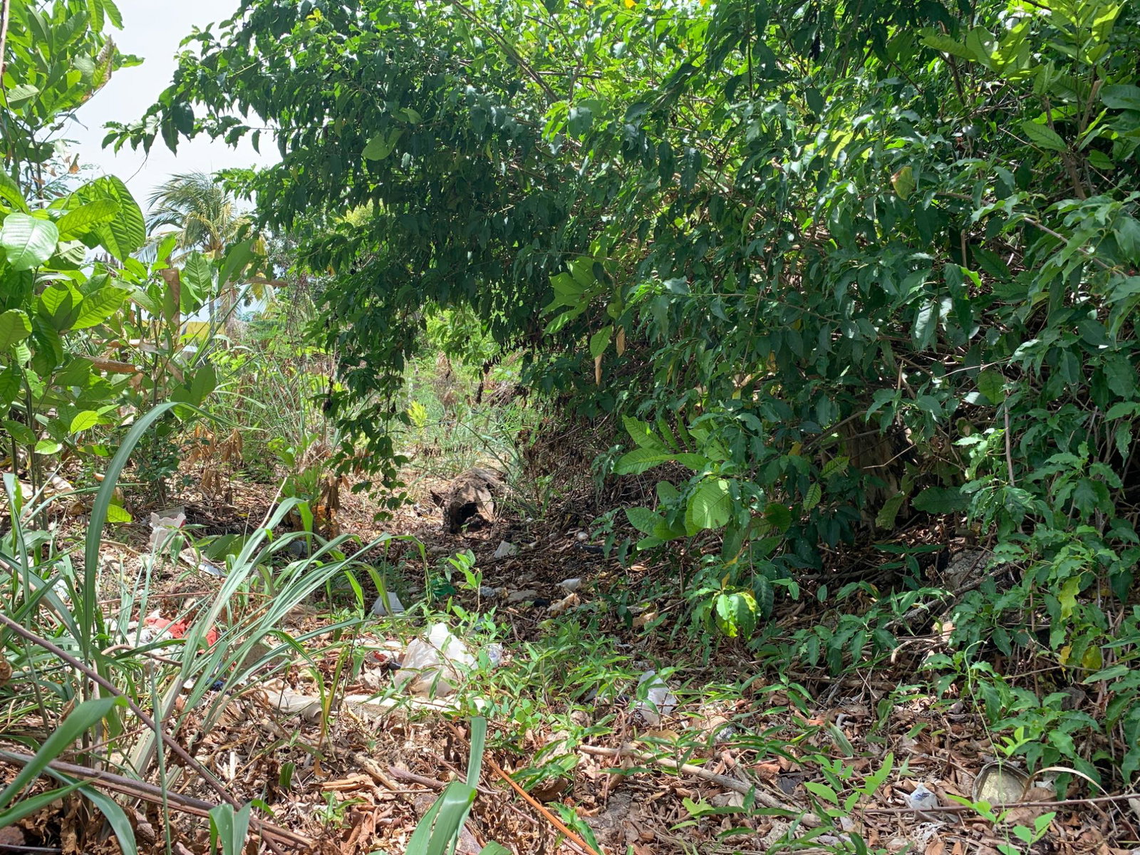 Fifth image of 40 Edinburgh Avenue in Ironshore, St. James, Jamaica - property is For Sale