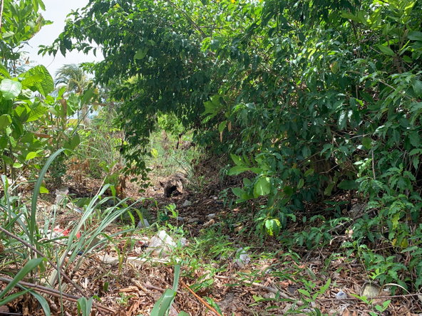 Fifth image of 40 Edinburgh Avenue in Ironshore, St. James, Jamaica - property is For Sale