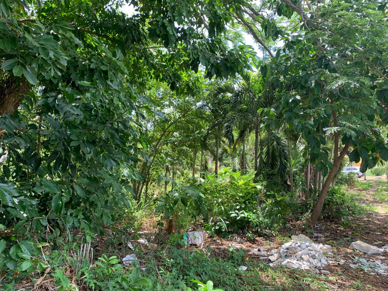 Sixth image of 40 Edinburgh Avenue in Ironshore, St. James, Jamaica - property is For Sale