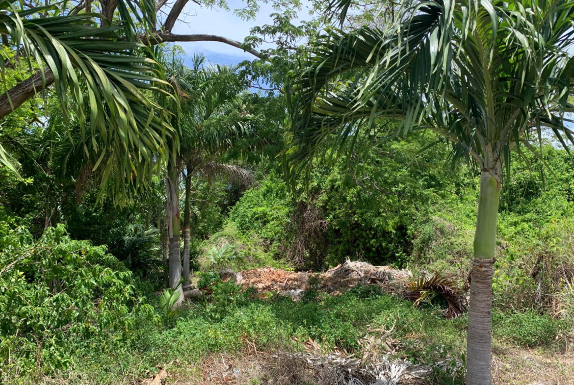 Seventh image of 40 Edinburgh Avenue in Ironshore, St. James, Jamaica - property is For Sale