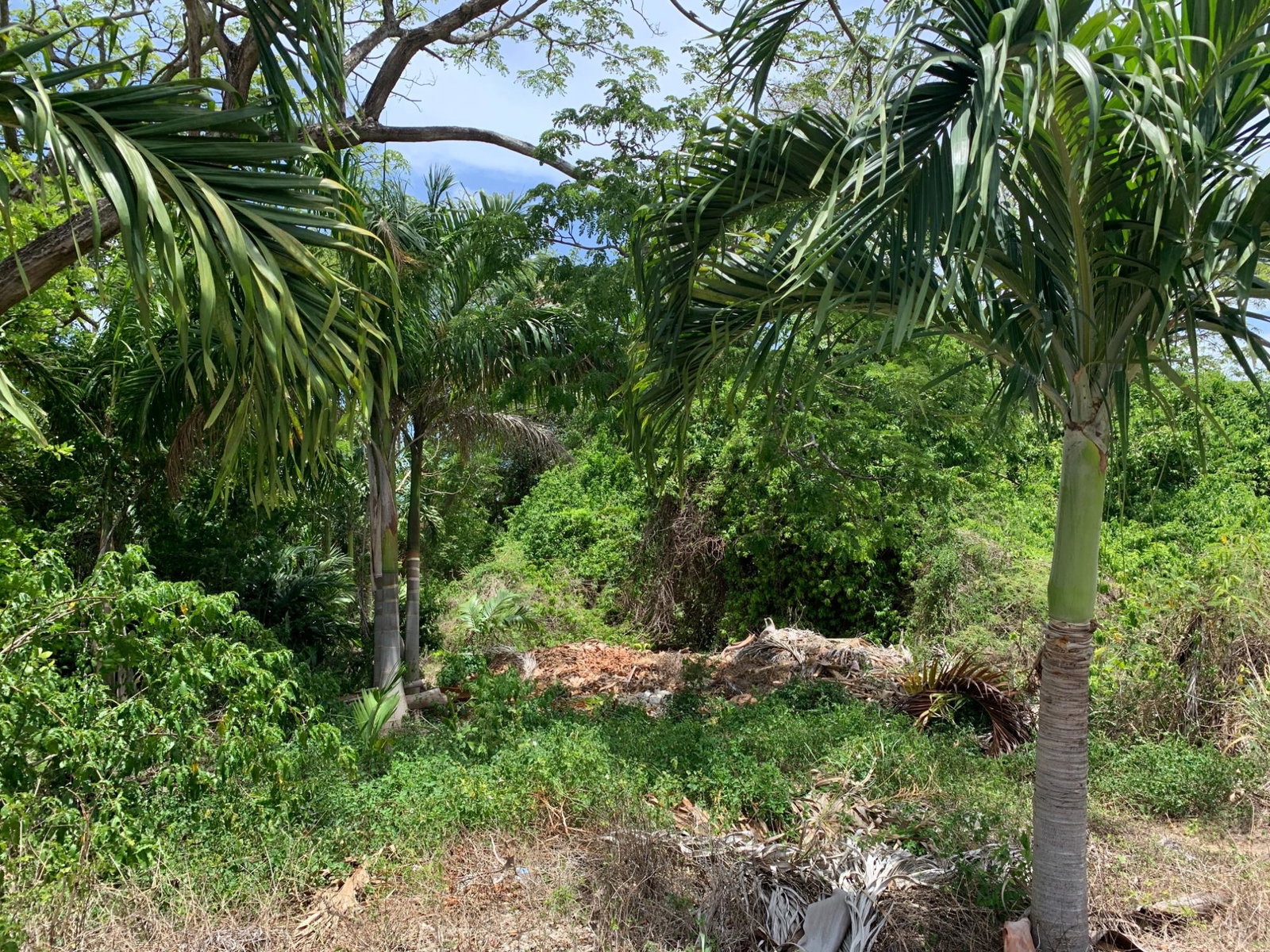 Seventh image of 40 Edinburgh Avenue in Ironshore, St. James, Jamaica - property is For Sale