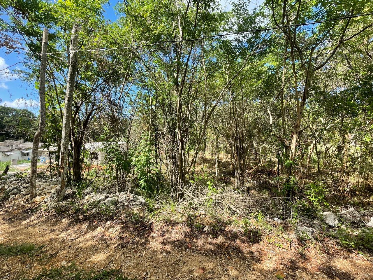 Second image of 19g Land Part of Dumbarton in Discovery Bay, St. Ann, Jamaica - property is For Sale