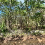First image of 19g Land Part of Dumbarton in Discovery Bay, St. Ann, Jamaica - property is For Sale